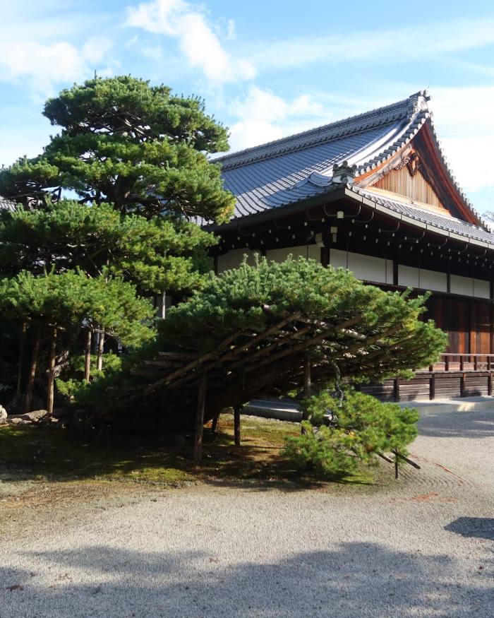 A temple hall behind pine trees and raked gravel