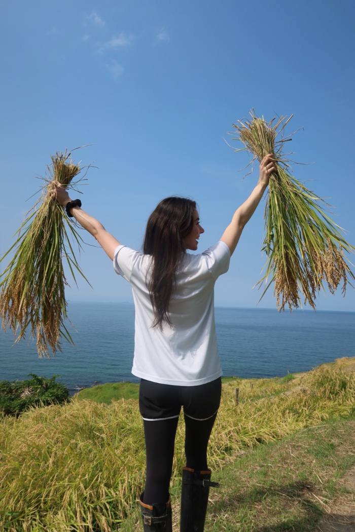 海を望む田んぼで、刈り取った稲を掲げる根岸エリカ