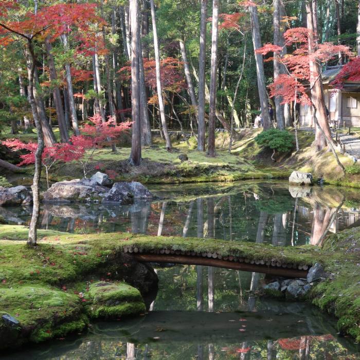 A moss garden and a small wooden bridge in autumn