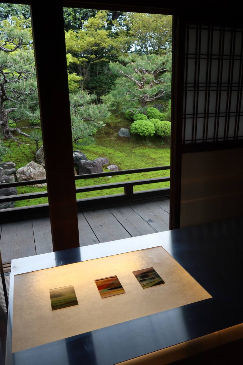 A garden seen from a quiet veranda